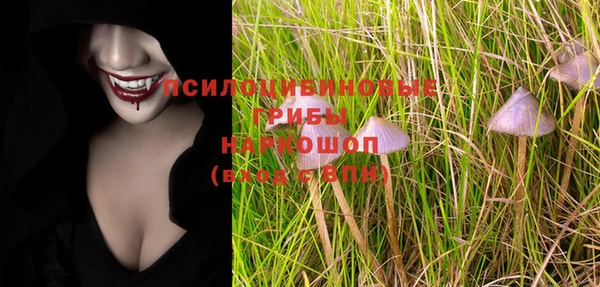 apvp Кулебаки